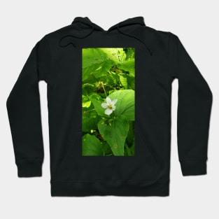 Small white flower on the forest floor Hoodie